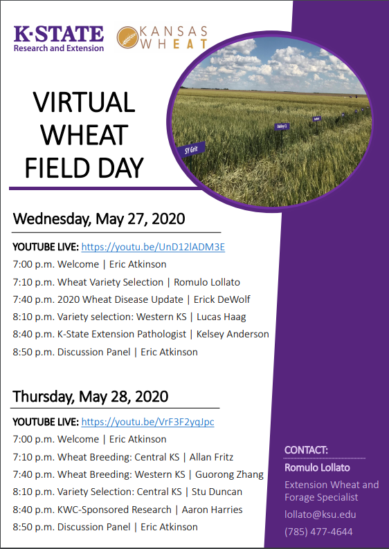 wheat field day